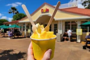 The Ultimate Oahu Bucket List: 50 Fun Things to See, Do & Eat🍍🌺🏖️