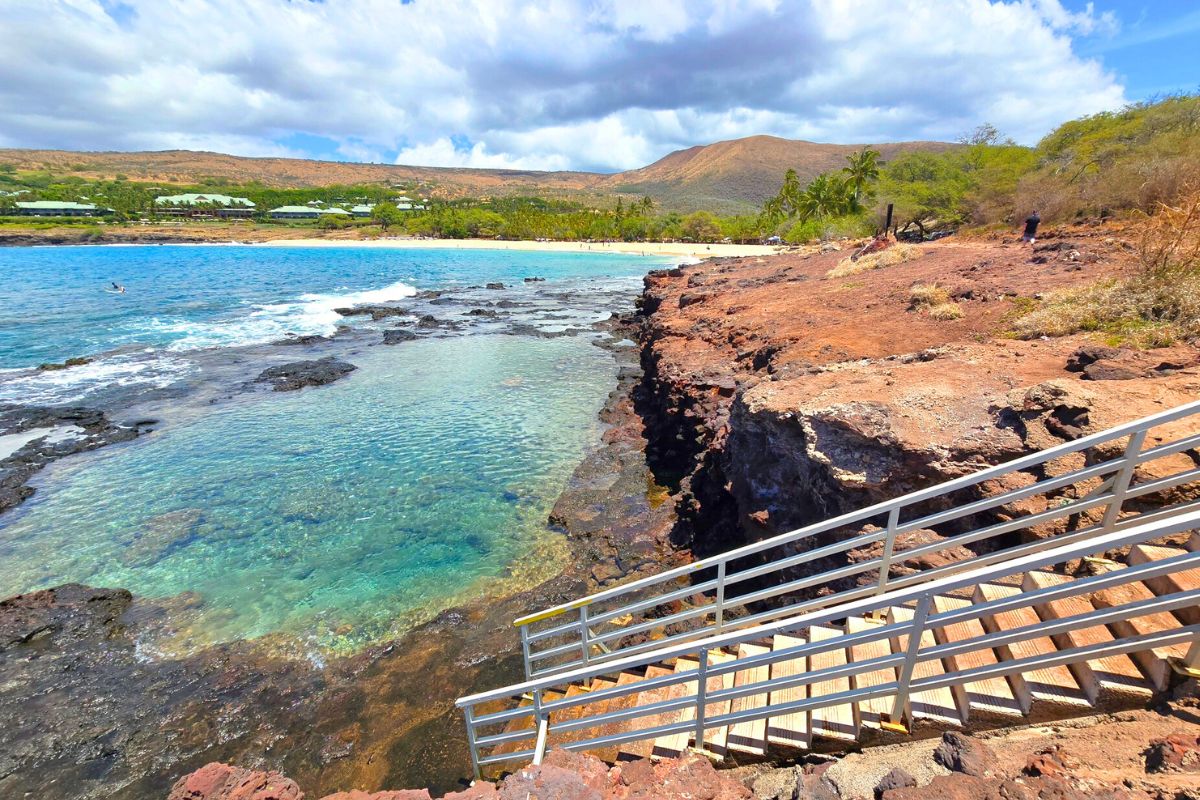 How to Plan a PURRfect Day Trip from Maui to Lanai ⛴️🍍🐈