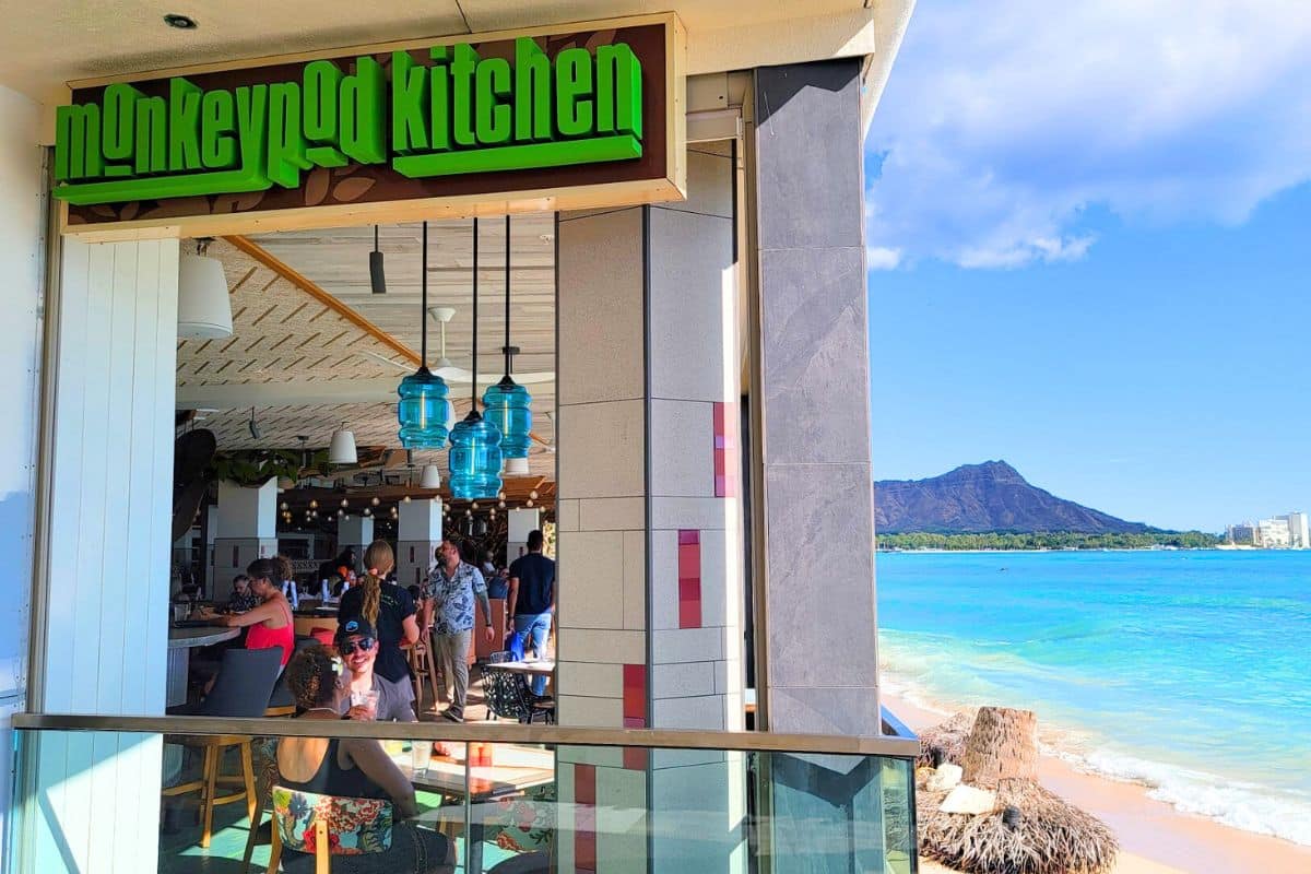 Monkeypod Waikiki Views Best Happy Hour Waikiki