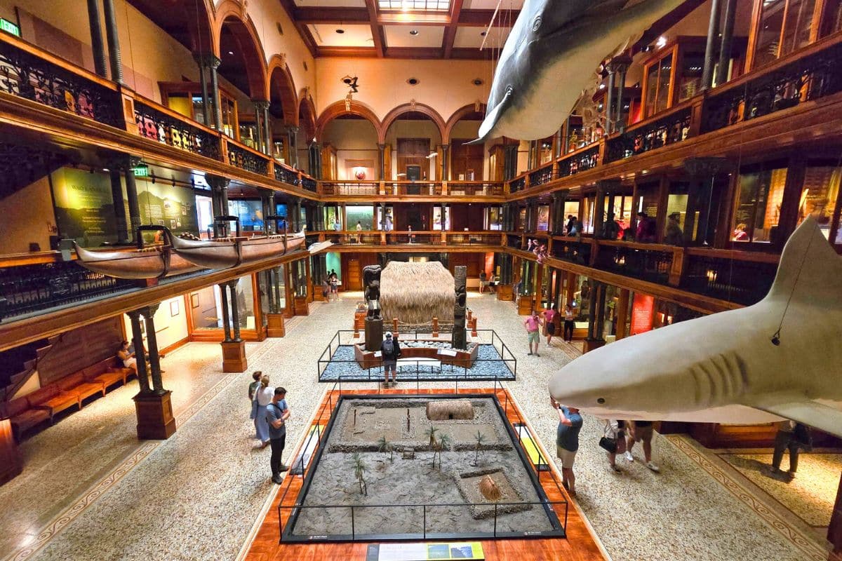 Bishop Museum Honolulu Hawaii