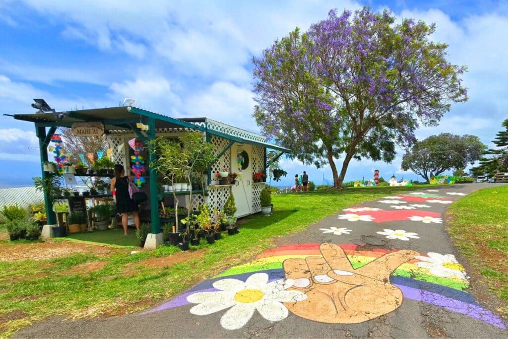 Kula Country Farms Family Fun