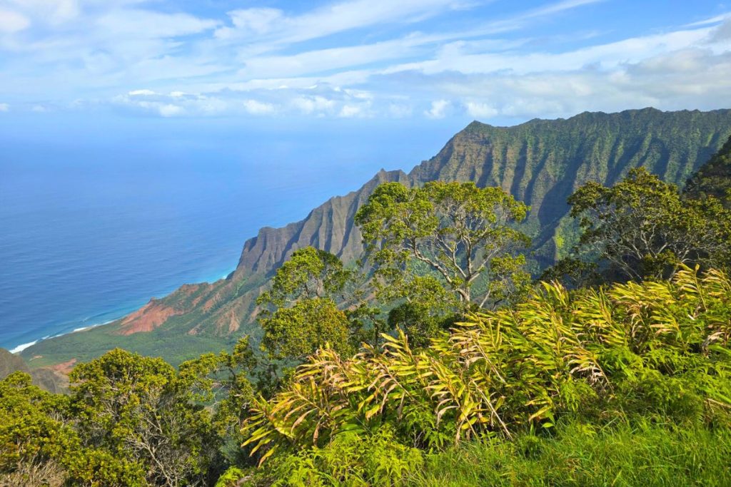 Kalalau Lookout Waimea Canyon Na Pali Coast Kauai