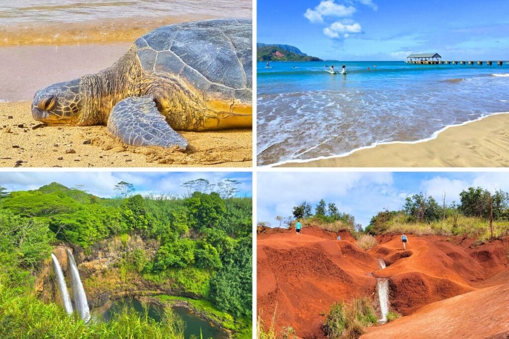 Images of a turtle basking on poipu Beach kauai, Hanalei Bay and Pier, Wailua Falls Kauai, and the red dirt waterfall in Waimea Canyon