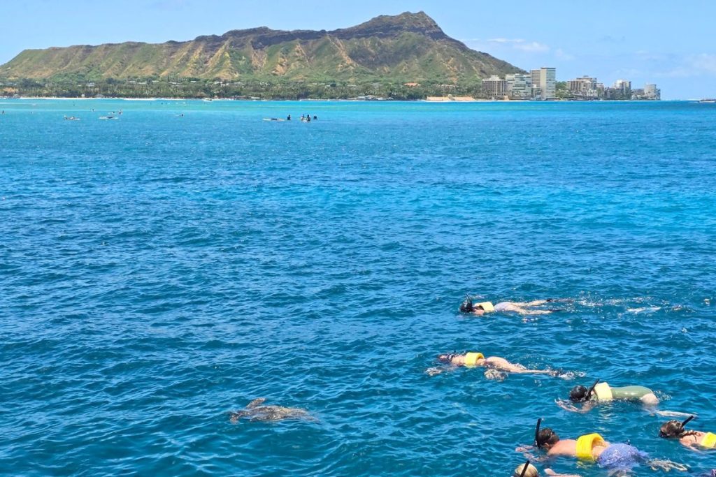 Turtle Canyon Thing to Do in Waikiki Hawaii