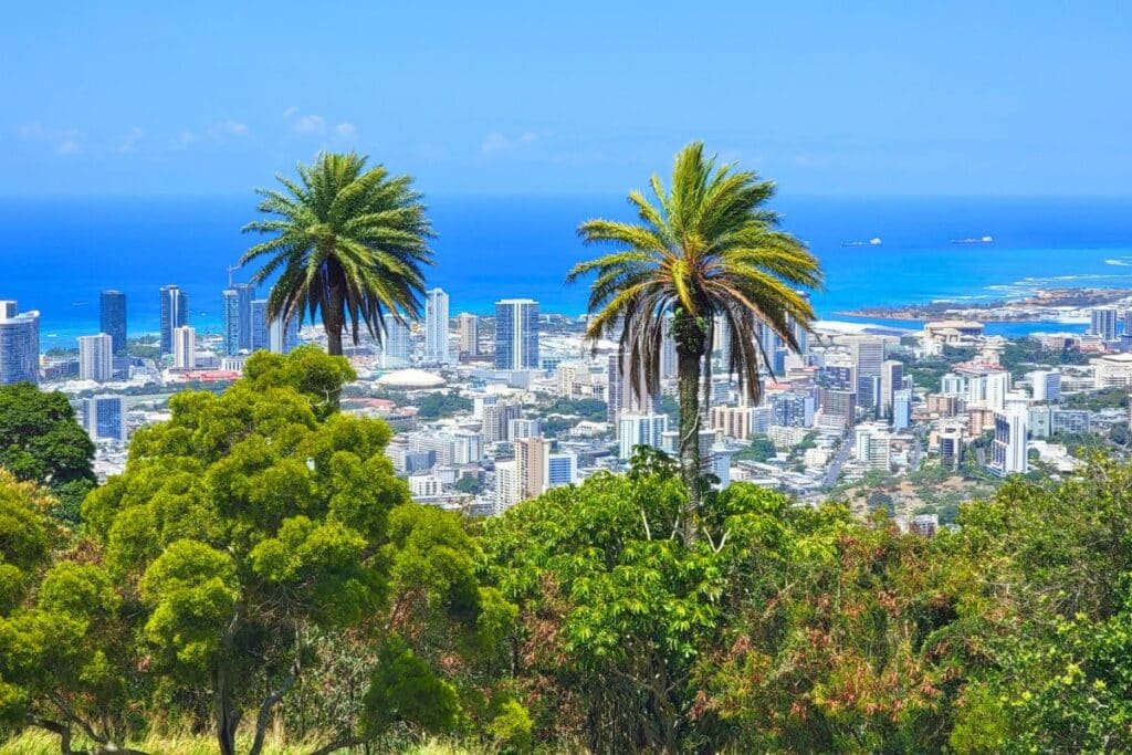 Two palm trees partially block the views over the ocean and Honolulu skyline from the Tantalus Lookout