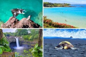 10 Awesome Things to Do on Hawaii's Brilliant Big Island (#7 is a MUST!)🌋🌊