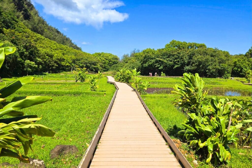 Haena State Park Trail Kauai Island Hawaii