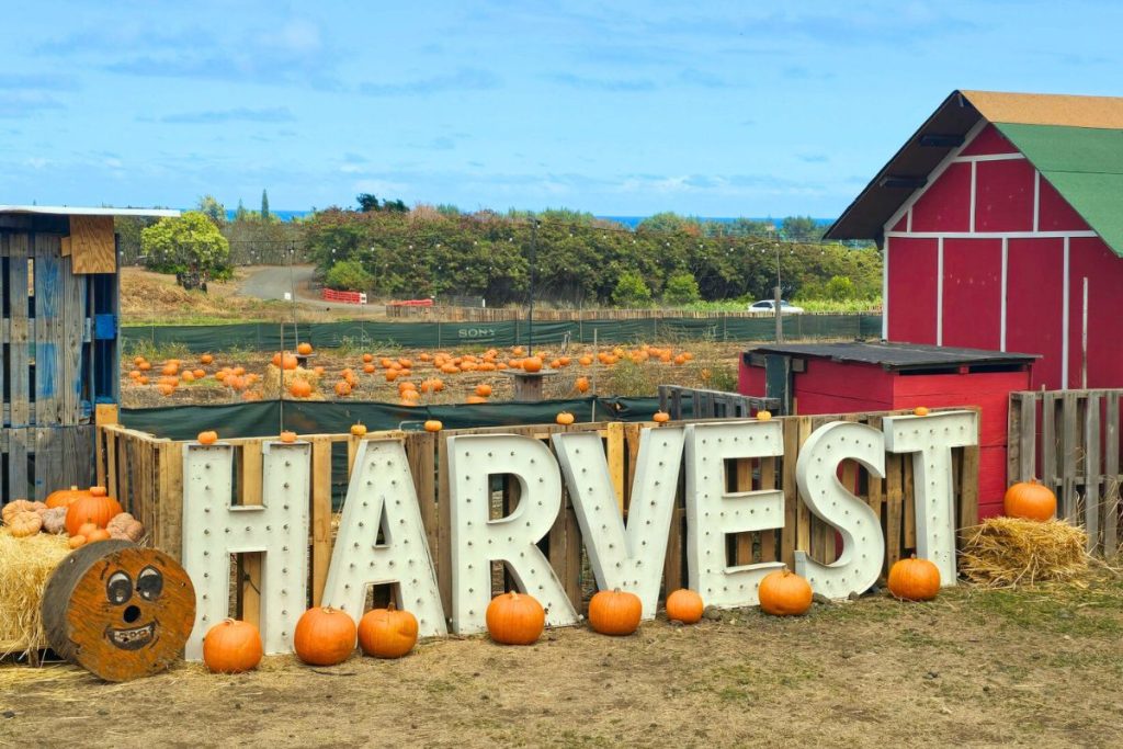 Waimanalo Country Farms Fall Harvest Festival