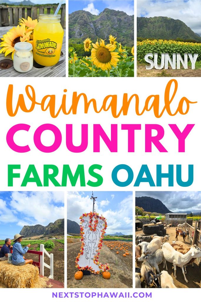 Waimanalo Country Farms Oahu Hawaii