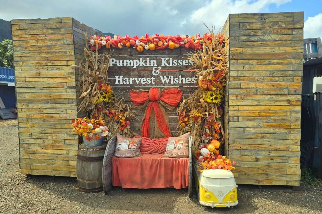 Waimanalo Farms Harvest Festival Oahu Things to Do