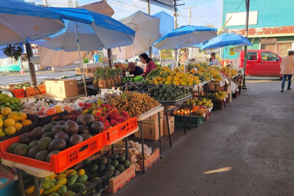 Hilo Farmer's Market