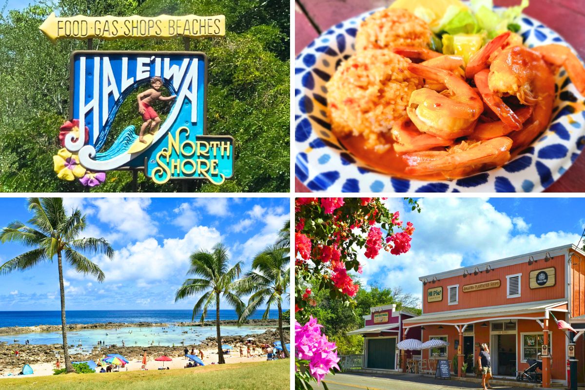 North Shore Oahu Hawaii Things to Do