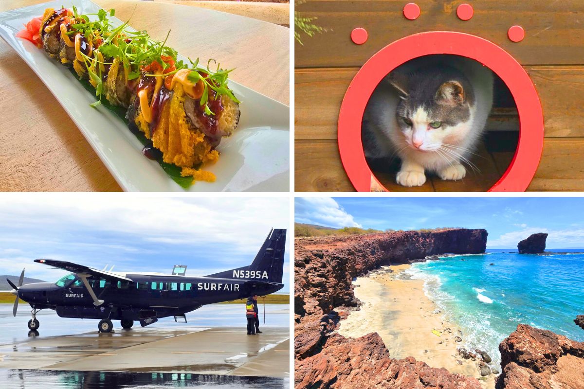 Oahu to Lanai Day Trip