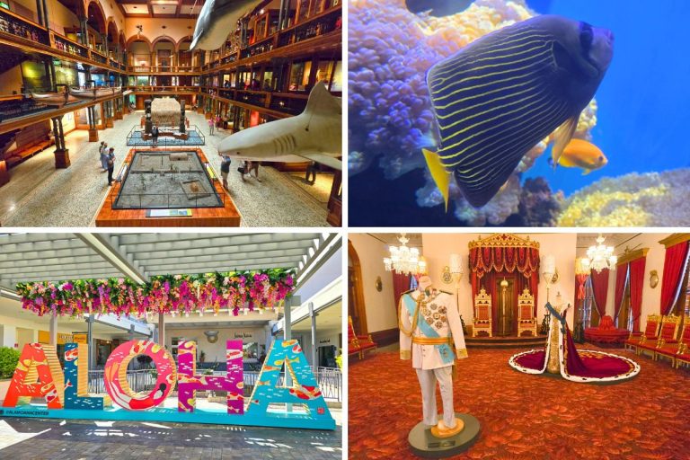 Rainy Day in Honolulu? Don’t Panic. Here Are 12 Fun Things to Do When it Rains on Oahu🌧️🌈