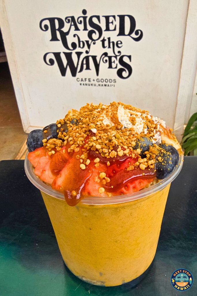 Olena Bowl Raised by the Waves North Shore