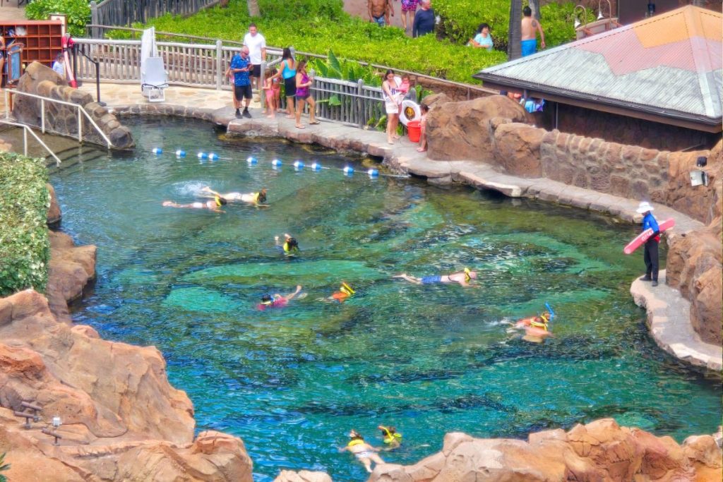 Rainbow Reef Snorkeling Aulani Hawaii