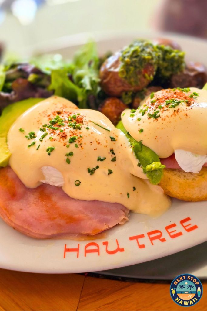 Waikiki Restaurants Brunch Eggs Benedict Oahu Hawaii